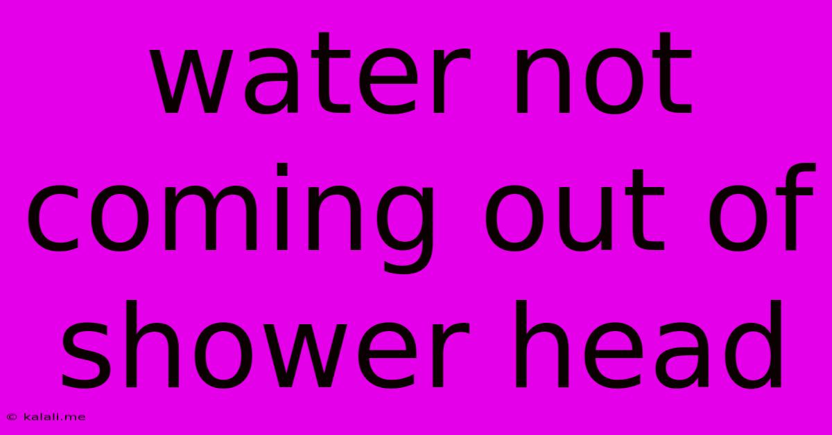 Water Not Coming Out Of Shower Head