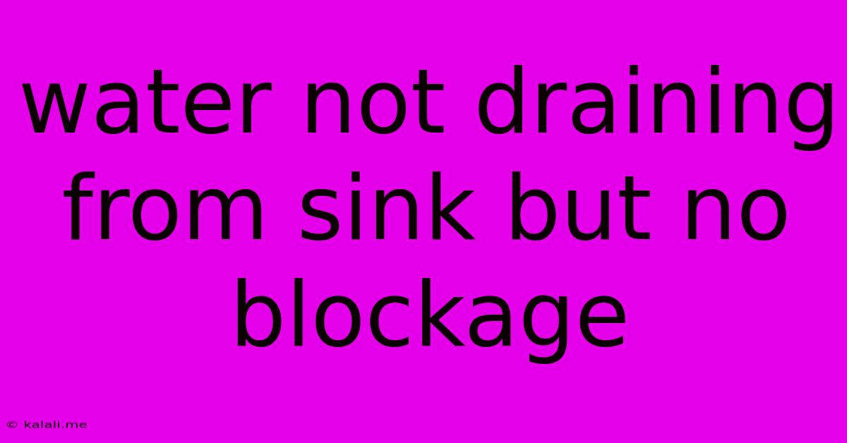 Water Not Draining From Sink But No Blockage