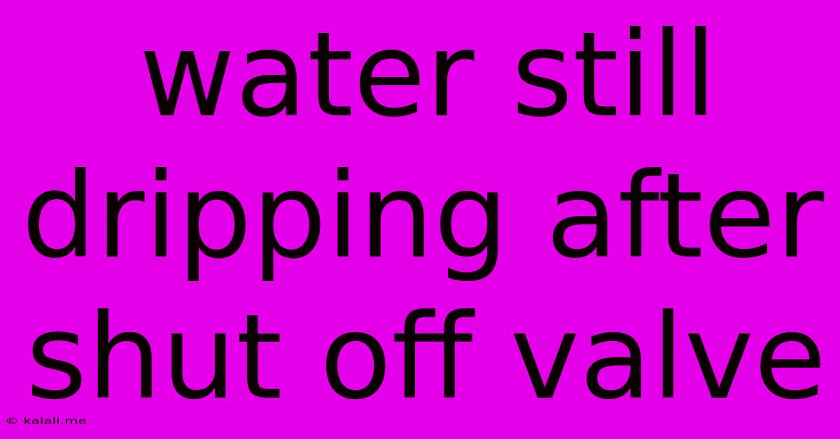 Water Still Dripping After Shut Off Valve