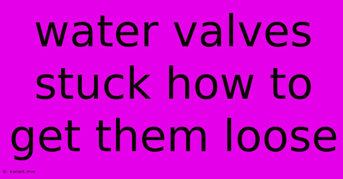 Water Valves Stuck How To Get Them Loose