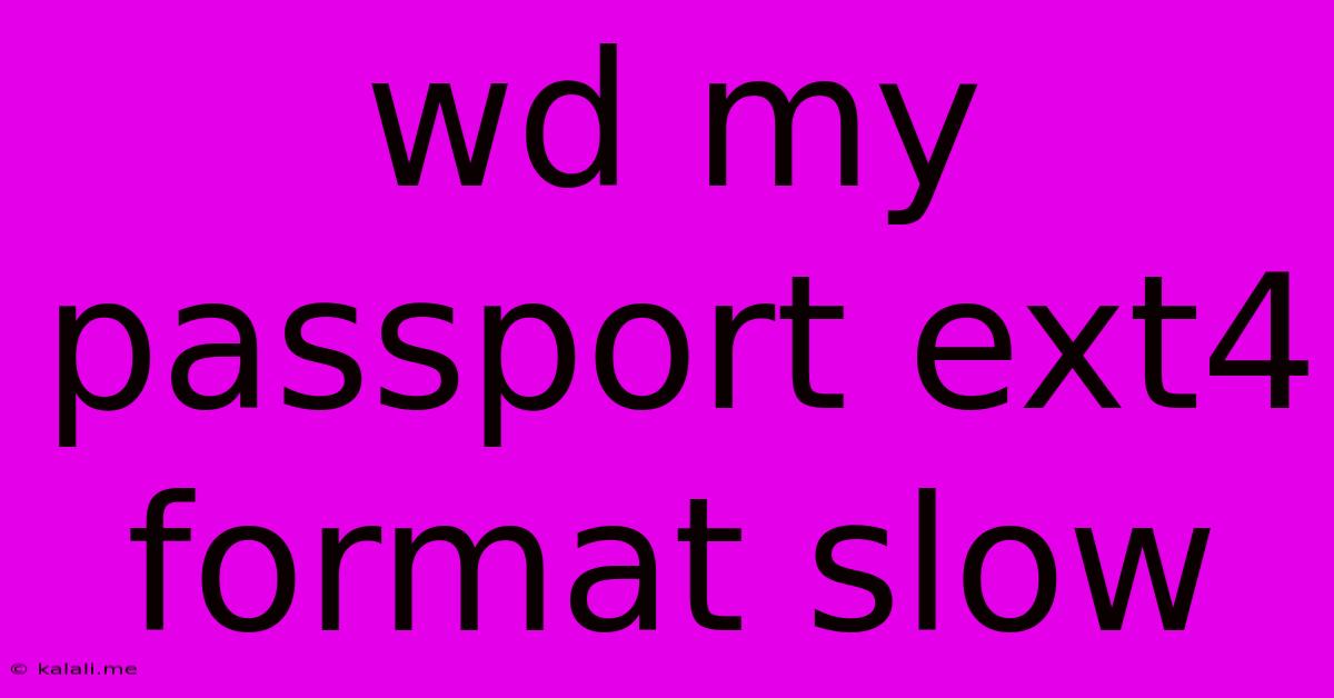 Wd My Passport Ext4 Format Slow