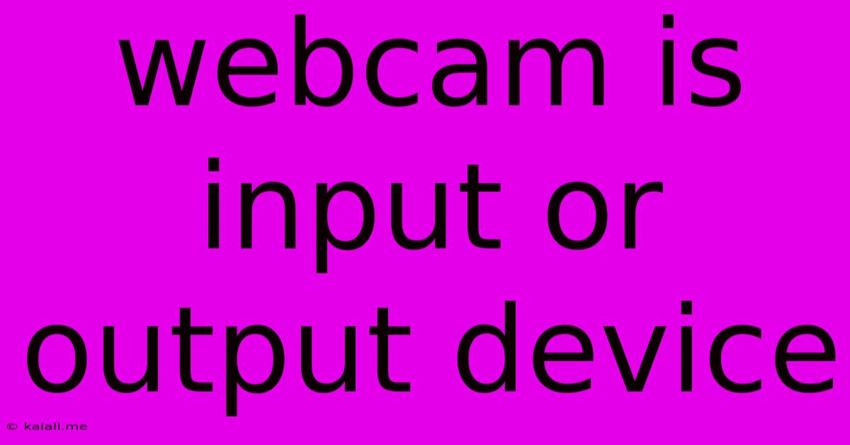 Webcam Is Input Or Output Device
