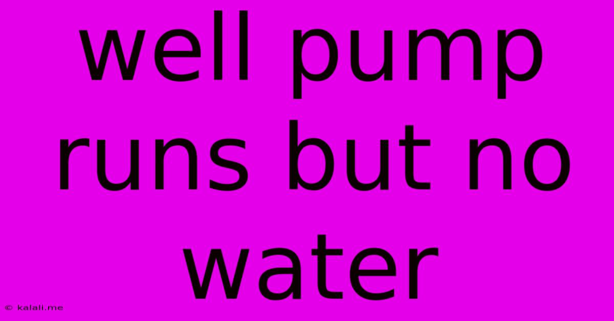 Well Pump Runs But No Water