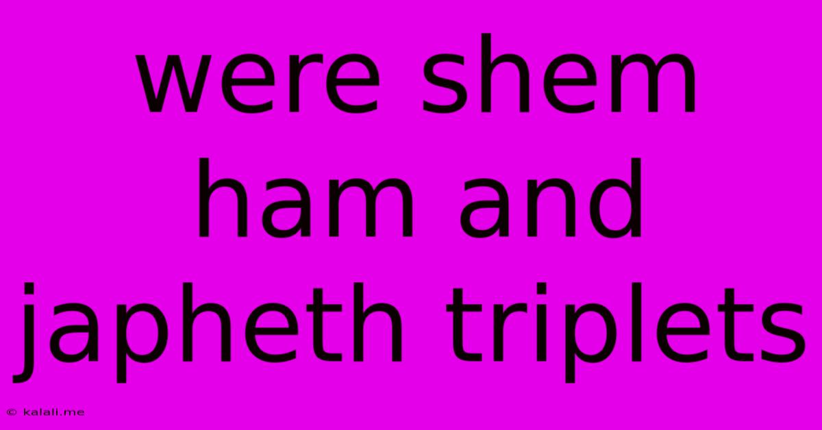 Were Shem Ham And Japheth Triplets