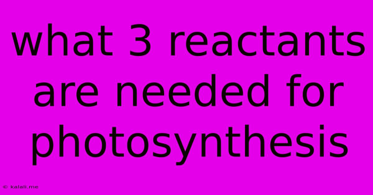 What 3 Reactants Are Needed For Photosynthesis
