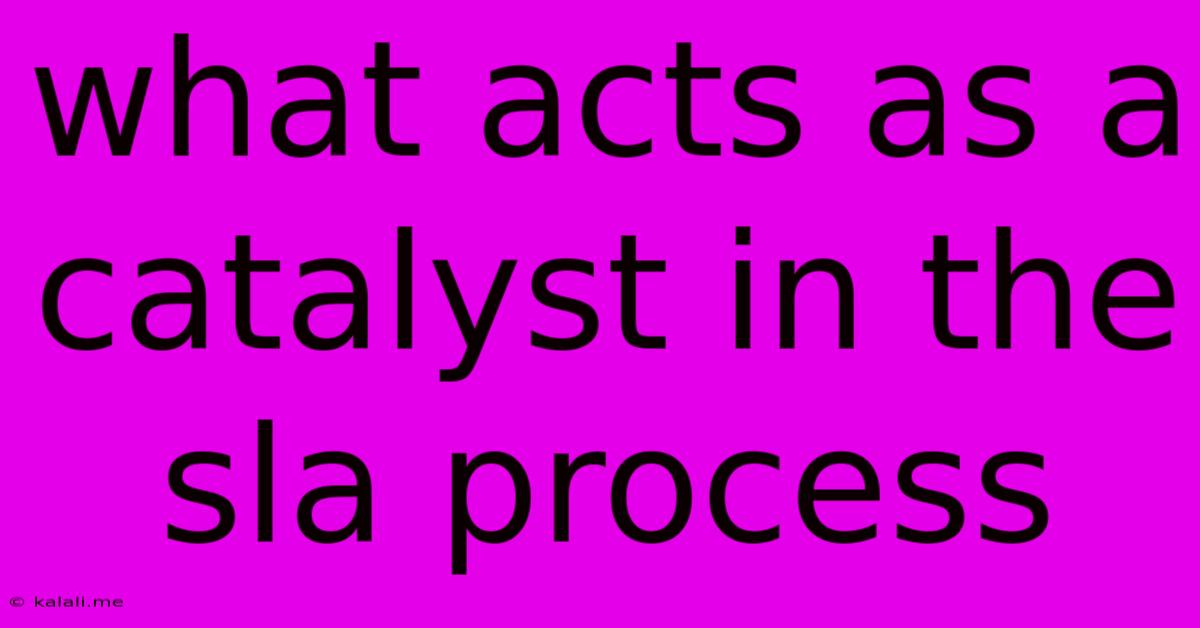 What Acts As A Catalyst In The Sla Process