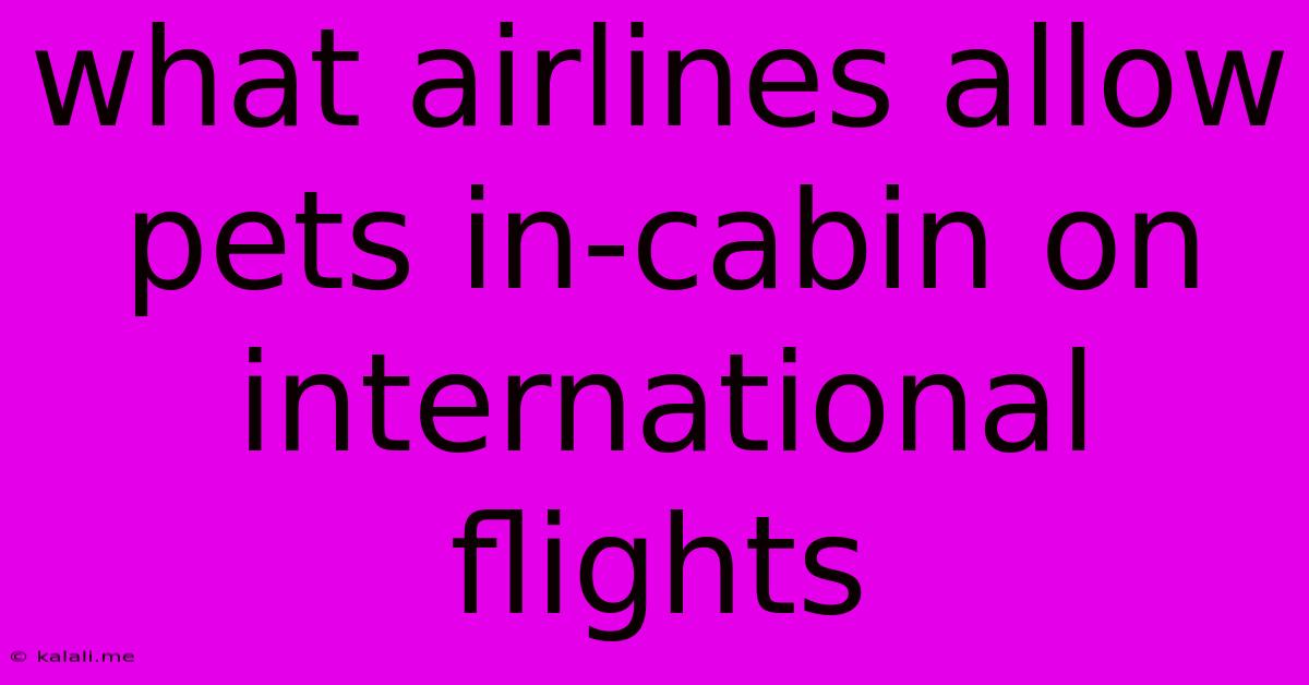 What Airlines Allow Pets In-cabin On International Flights