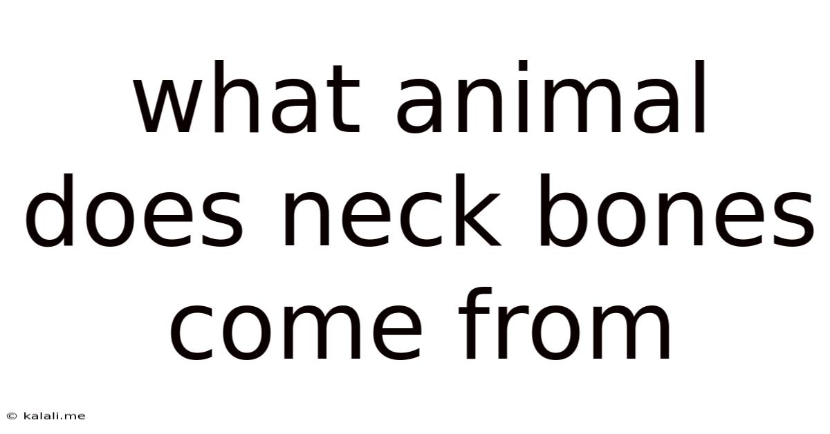 What Animal Does Neck Bones Come From