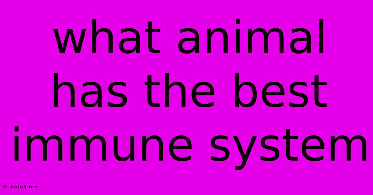 What Animal Has The Best Immune System