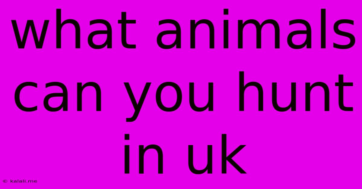 What Animals Can You Hunt In Uk