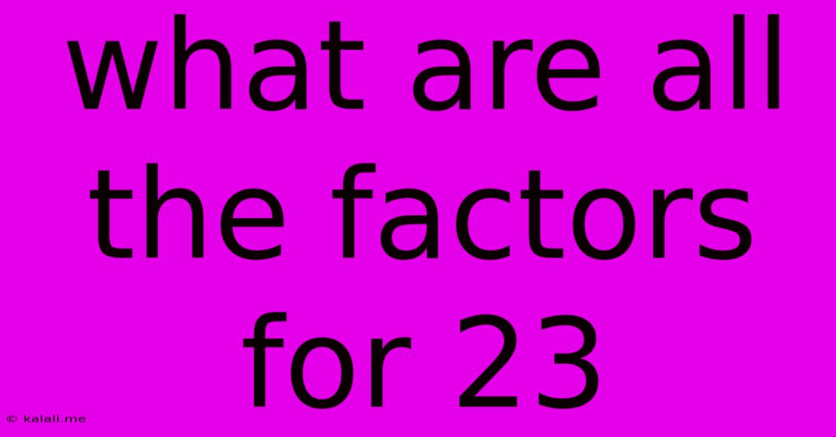 What Are All The Factors For 23