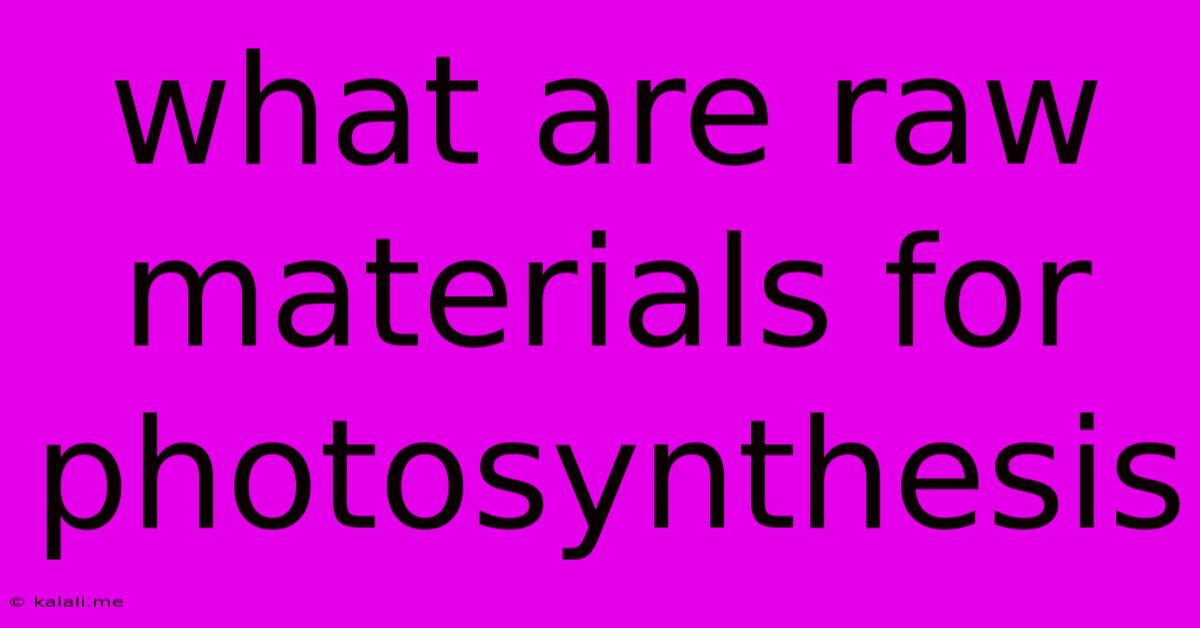 What Are Raw Materials For Photosynthesis
