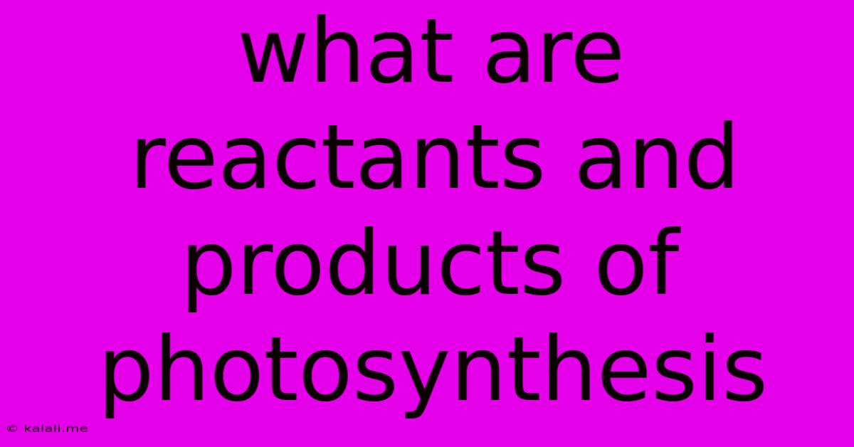 What Are Reactants And Products Of Photosynthesis