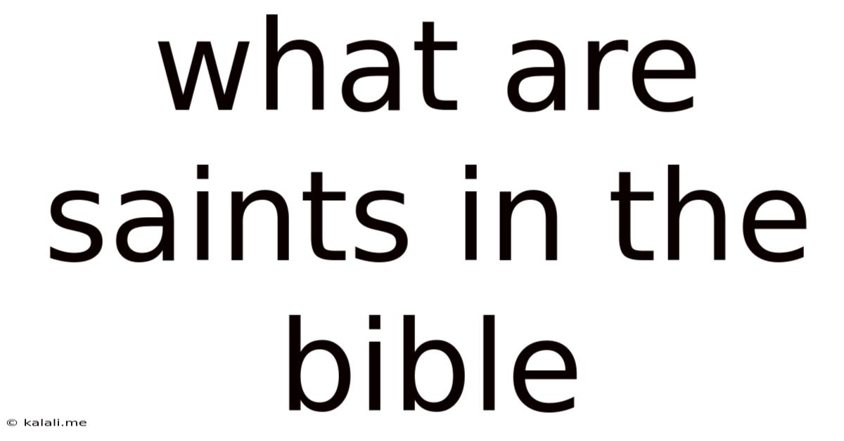 What Are Saints In The Bible