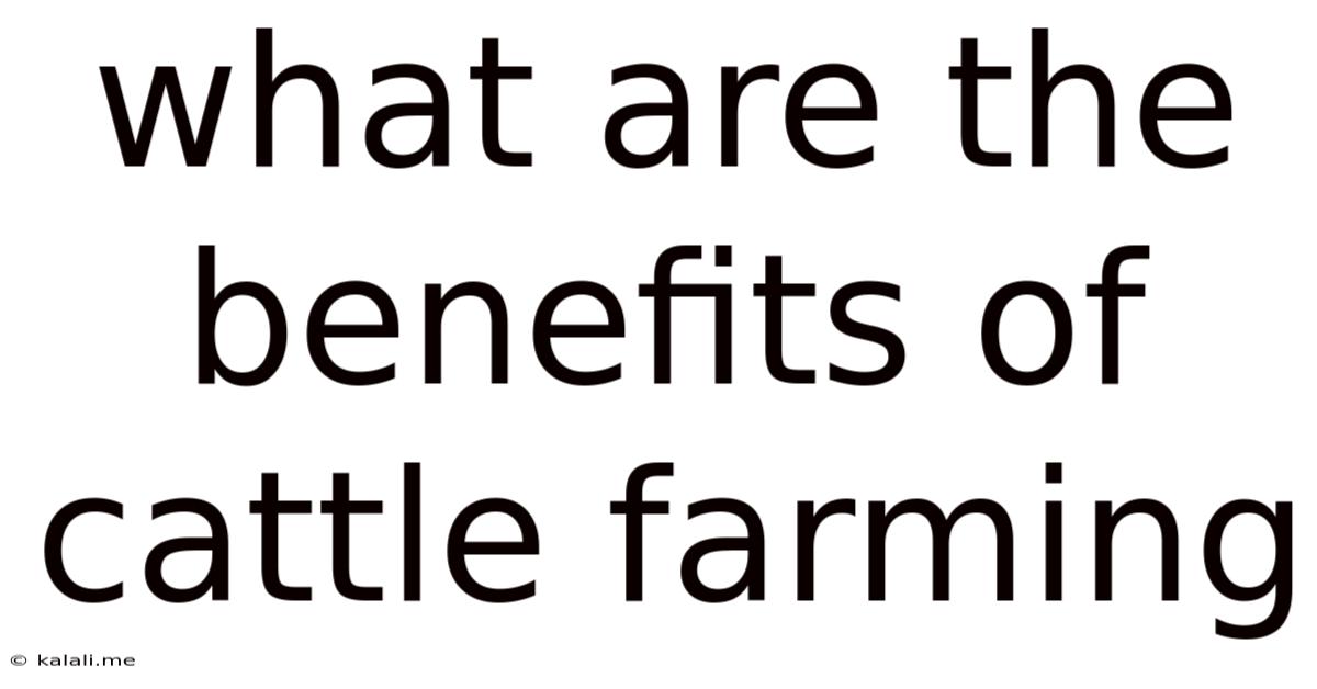 What Are The Benefits Of Cattle Farming
