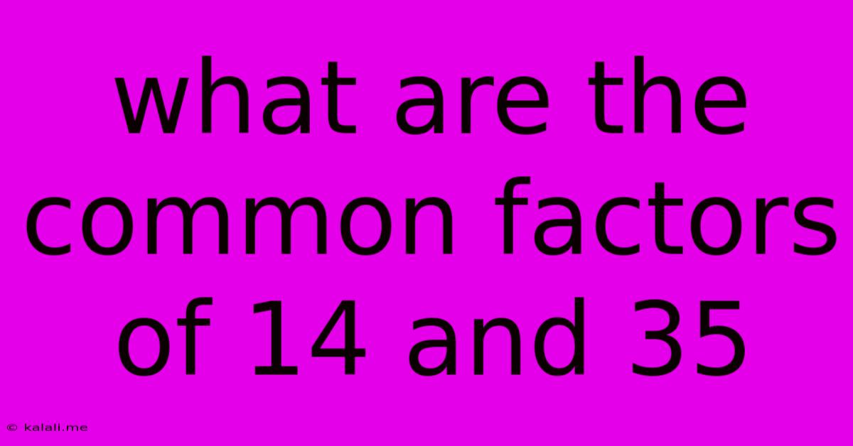 What Are The Common Factors Of 14 And 35