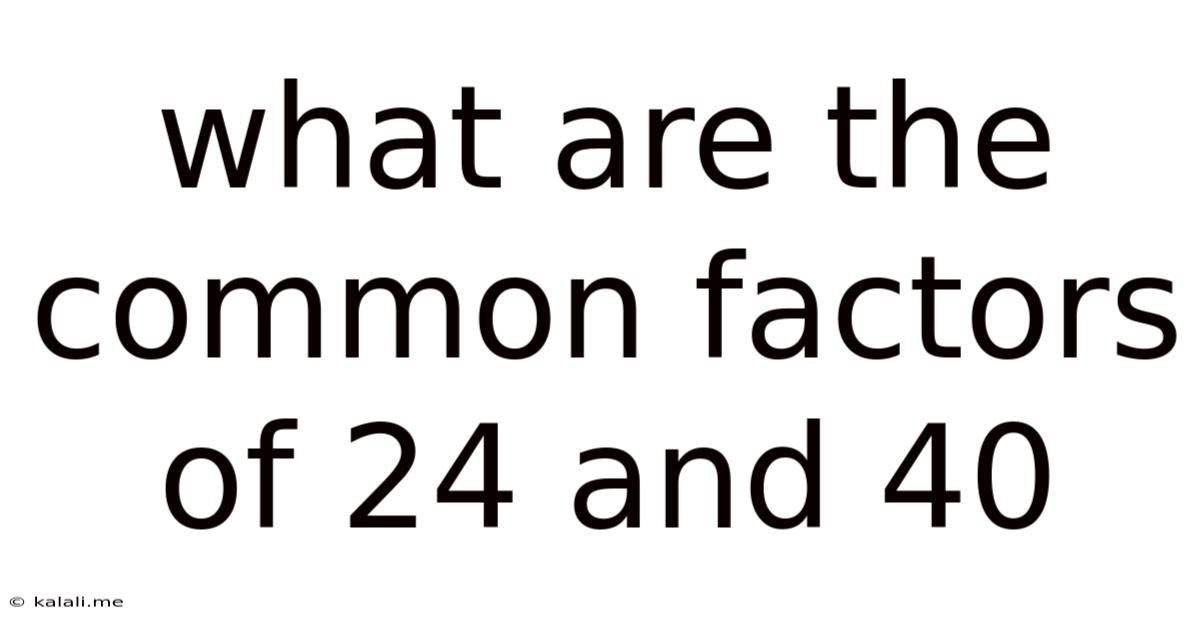 What Are The Common Factors Of 24 And 40