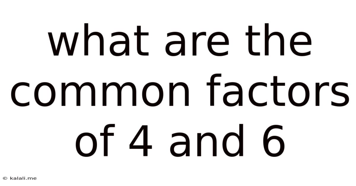 What Are The Common Factors Of 4 And 6