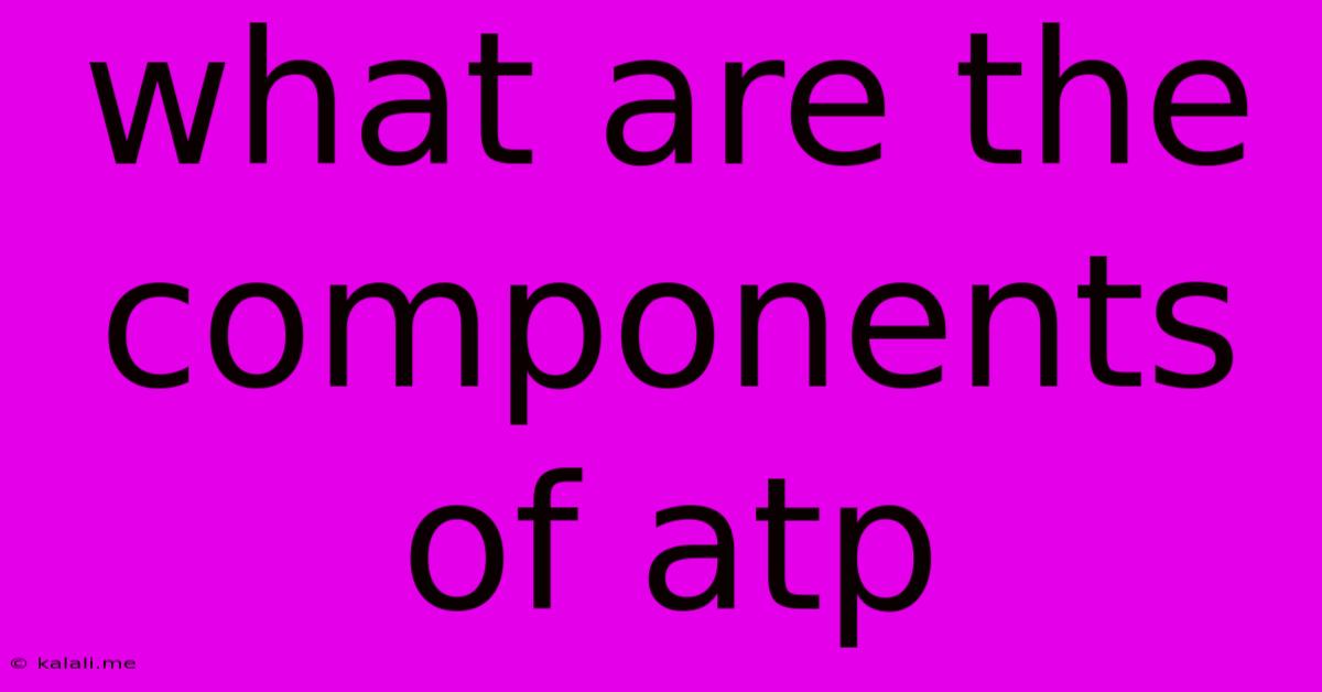 What Are The Components Of Atp