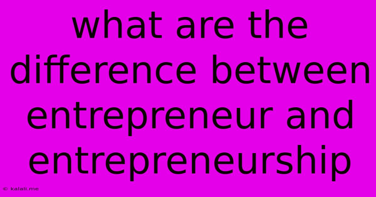 What Are The Difference Between Entrepreneur And Entrepreneurship