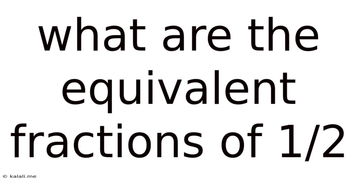 What Are The Equivalent Fractions Of 1/2