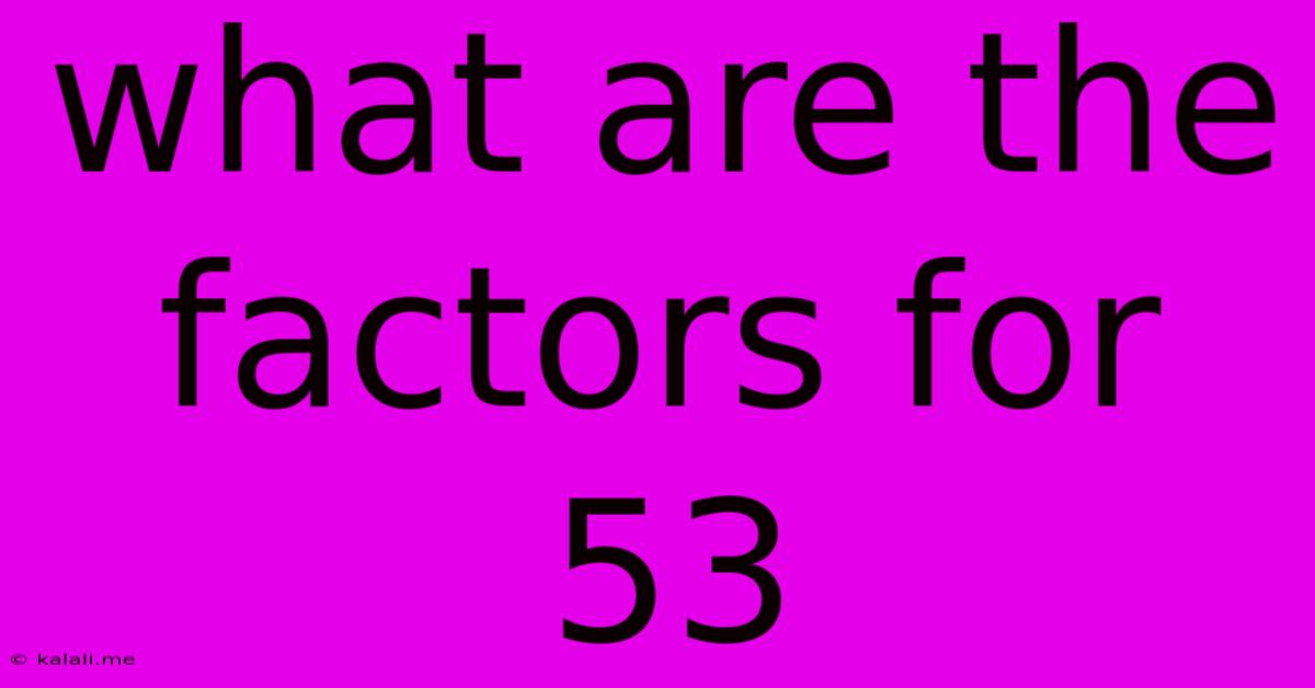 What Are The Factors For 53