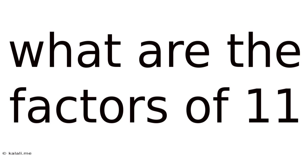 What Are The Factors Of 11