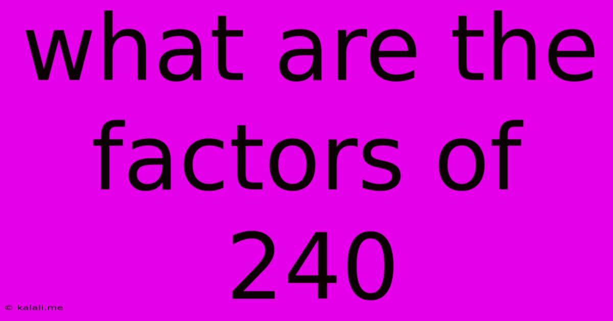 What Are The Factors Of 240
