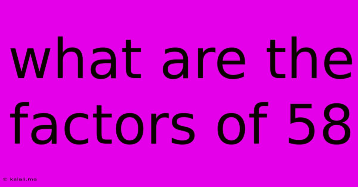 What Are The Factors Of 58