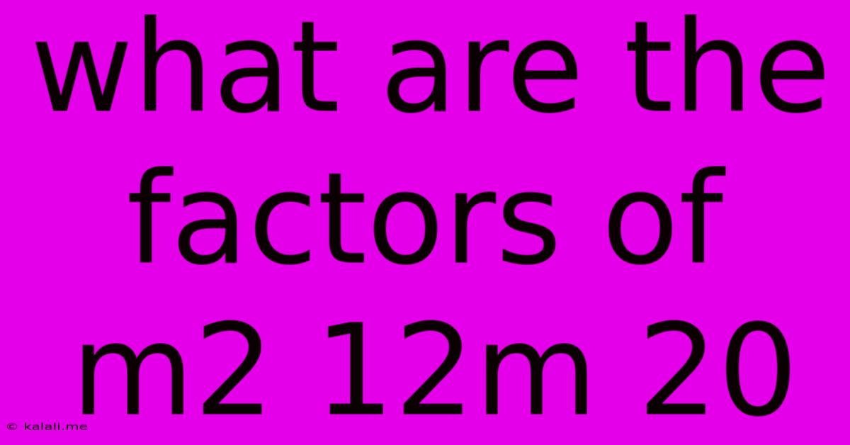 What Are The Factors Of M2 12m 20