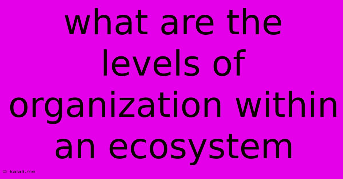 What Are The Levels Of Organization Within An Ecosystem