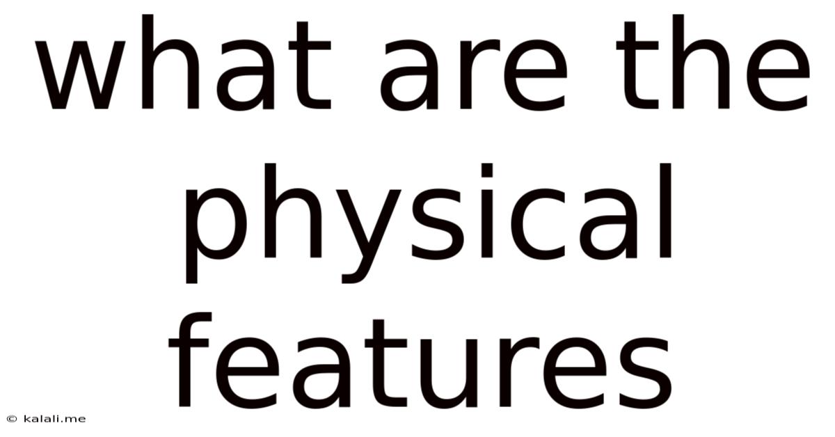 What Are The Physical Features