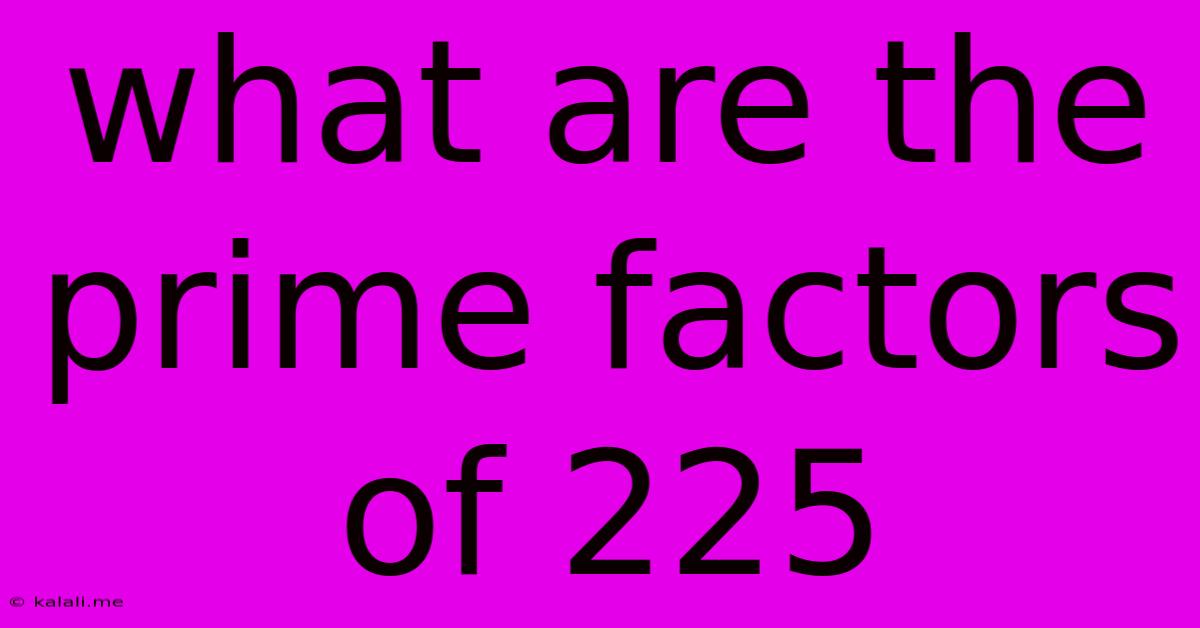 What Are The Prime Factors Of 225
