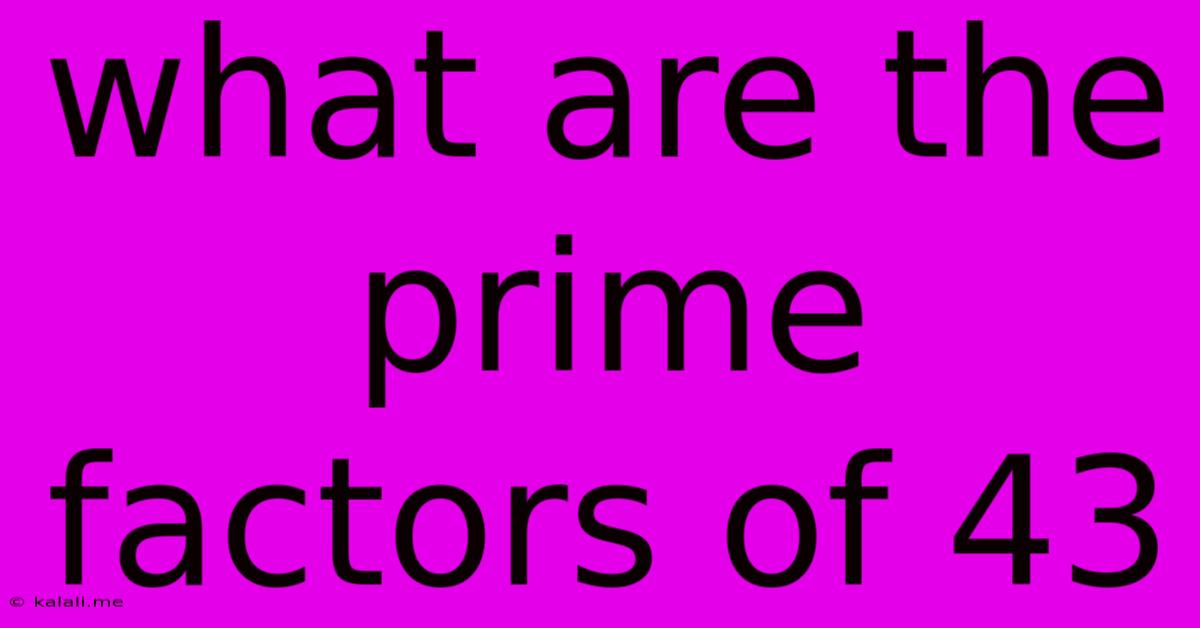 What Are The Prime Factors Of 43