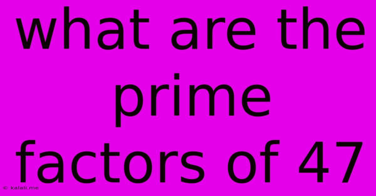 What Are The Prime Factors Of 47