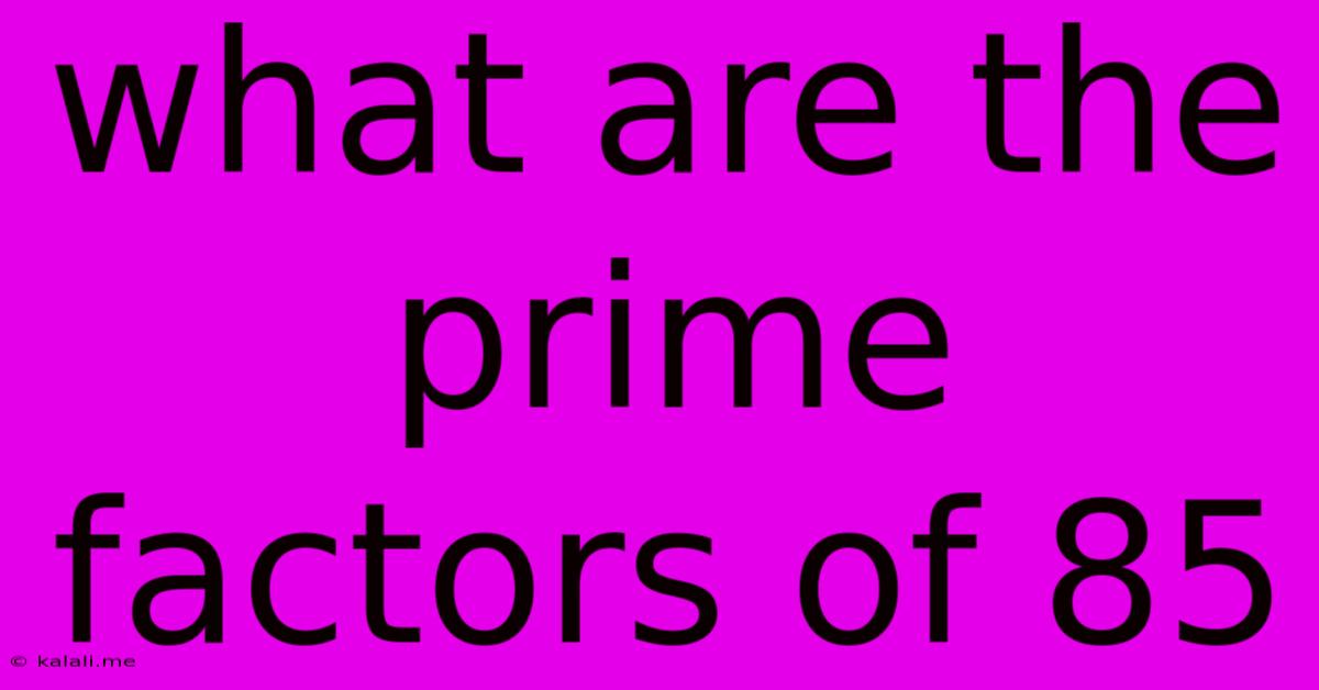 What Are The Prime Factors Of 85