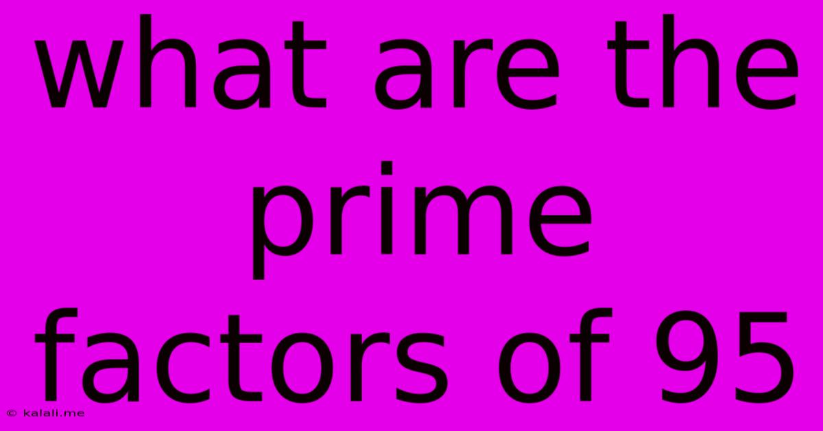 What Are The Prime Factors Of 95