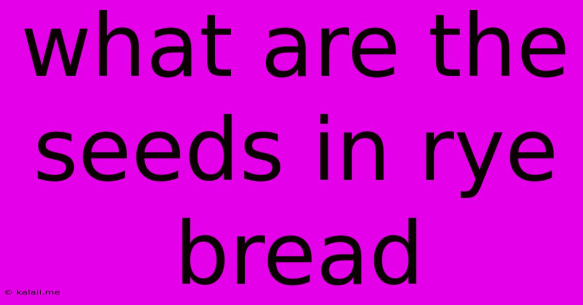 What Are The Seeds In Rye Bread