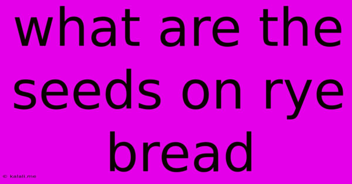 What Are The Seeds On Rye Bread