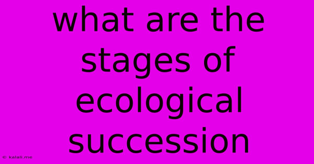 What Are The Stages Of Ecological Succession