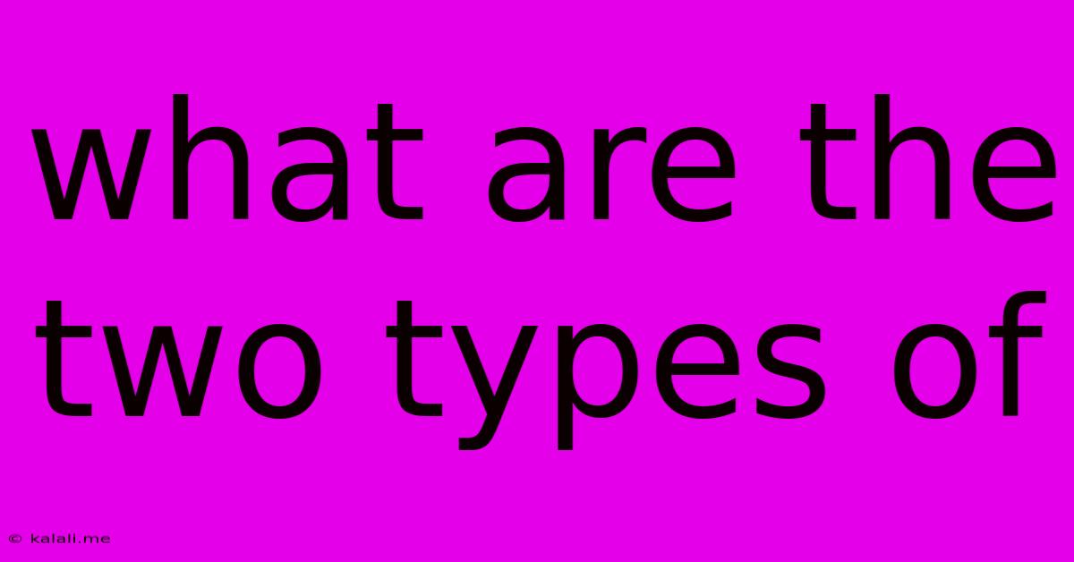 What Are The Two Types Of