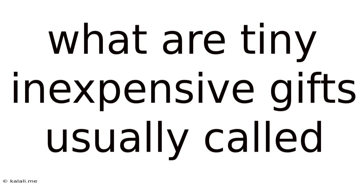 What Are Tiny Inexpensive Gifts Usually Called
