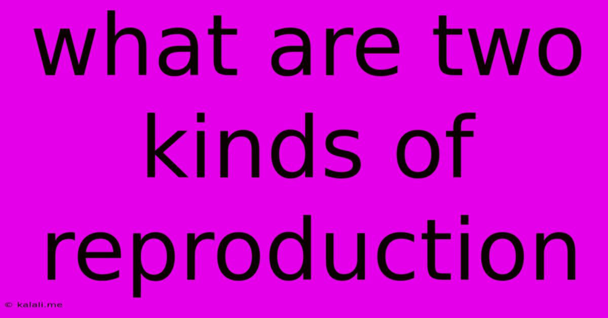 What Are Two Kinds Of Reproduction