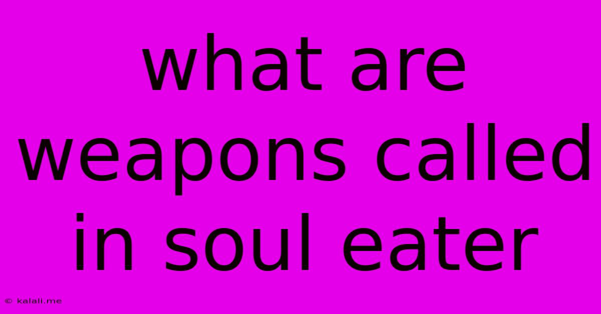 What Are Weapons Called In Soul Eater