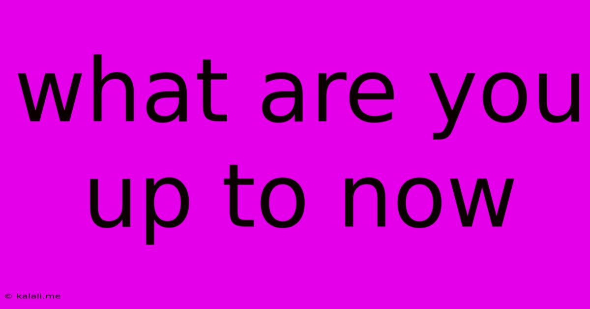 What Are You Up To Now