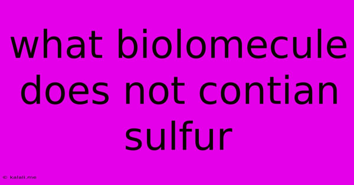 What Biolomecule Does Not Contian Sulfur