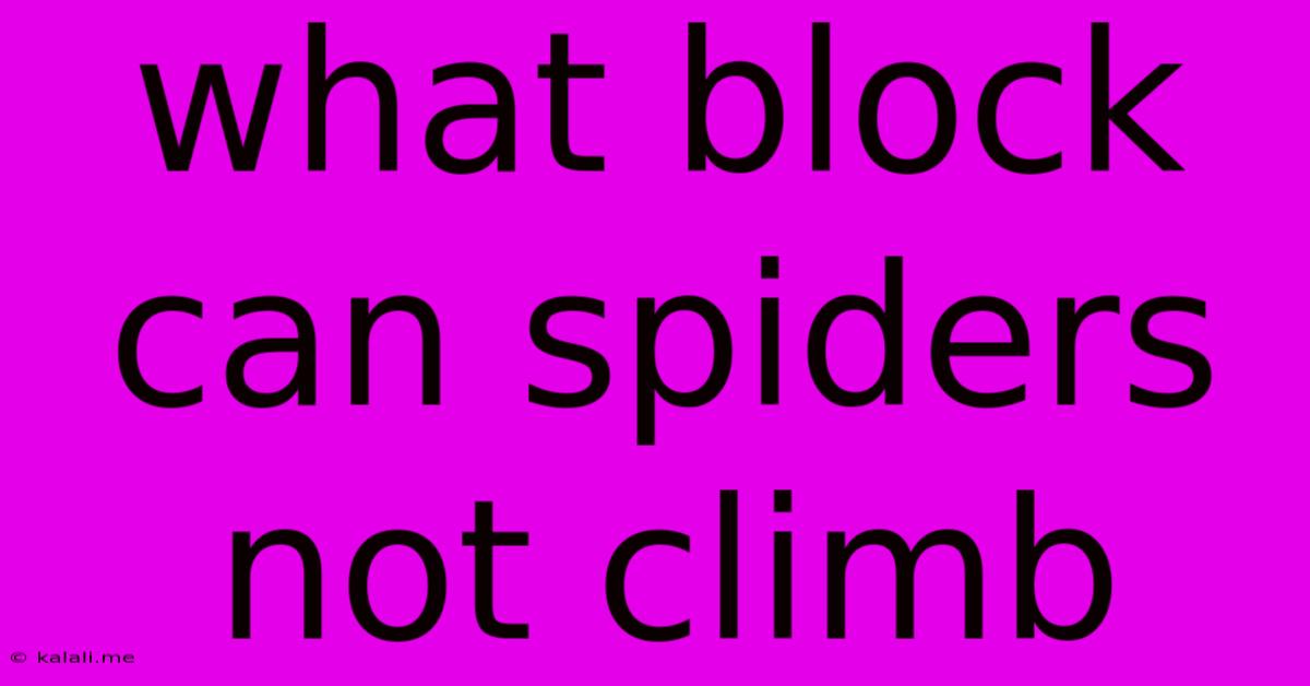 What Block Can Spiders Not Climb