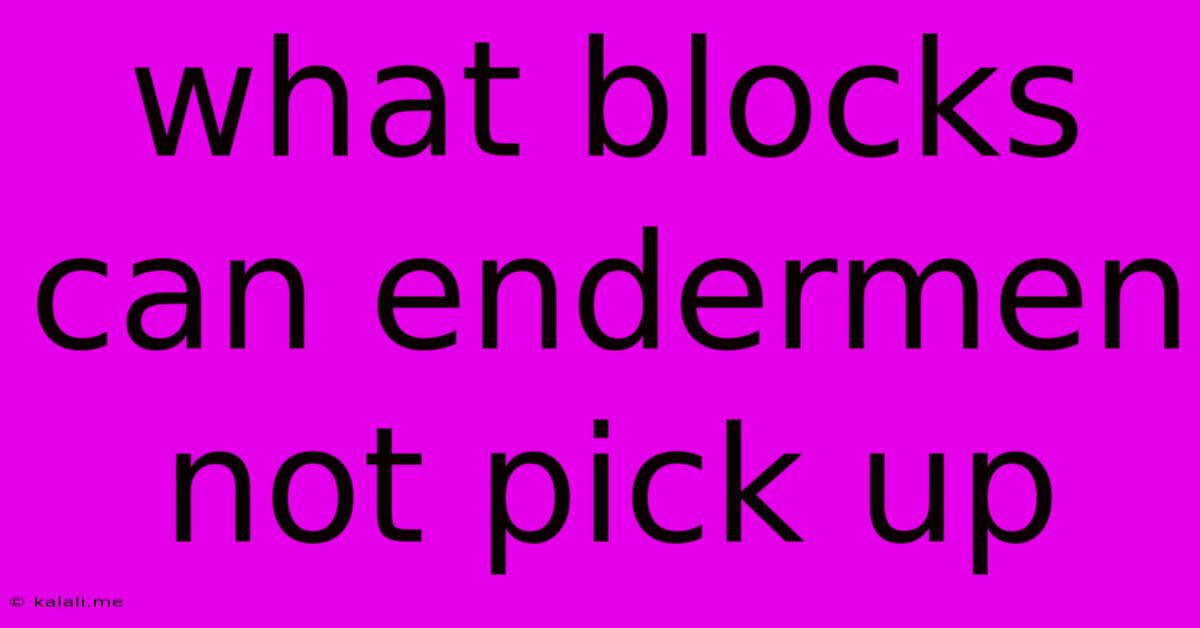 What Blocks Can Endermen Not Pick Up