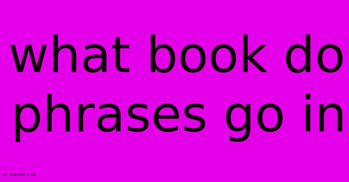 What Book Do Phrases Go In