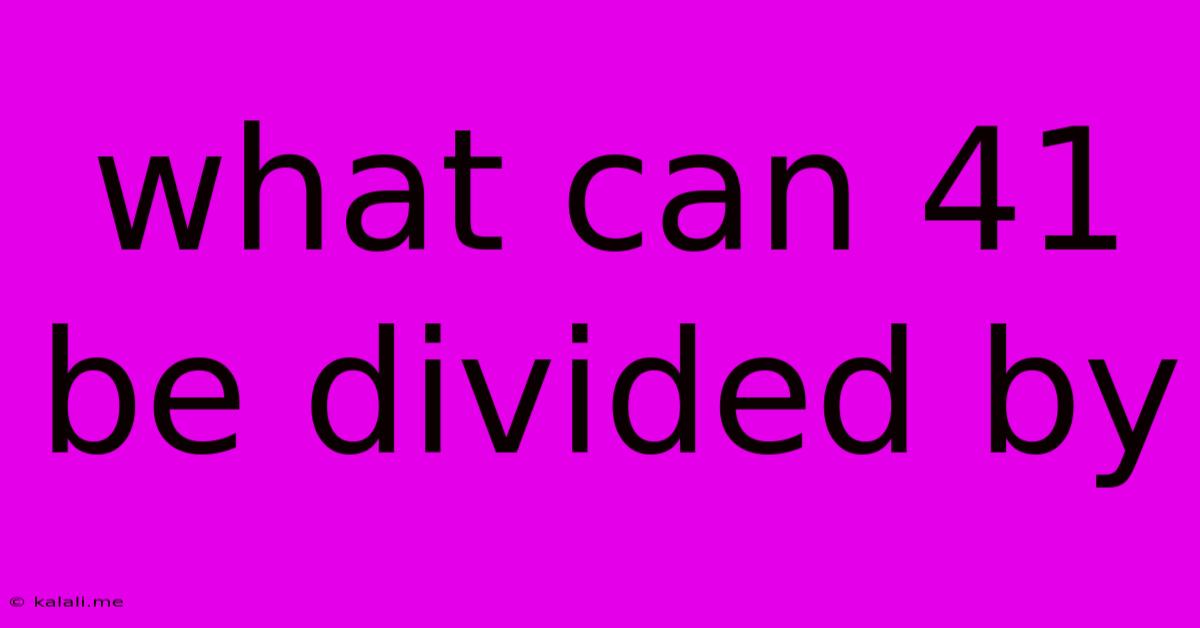 What Can 41 Be Divided By